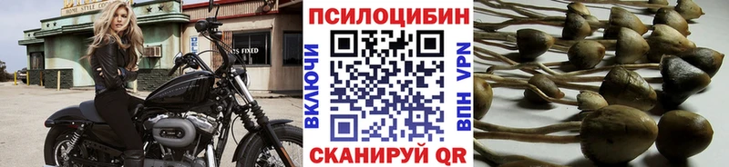 Псилоцибиновые грибы MAGIC MUSHROOMS  mega сайт  Отрадный 